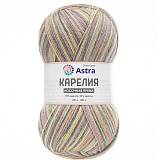 Пряжа 'Карелия' носочная (1003) (2шт) 100гр 400м (75% шерсть, 25% нейлон)