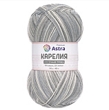 Пряжа 'Карелия' носочная (1013) (2шт) 100гр 400м (75% шерсть, 25% нейлон)