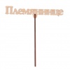 Топпер "Племяннице" из фанеры, 14,5x4,5 см Мастери Сама Пенза